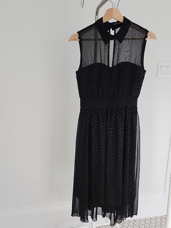 Eve Gravel Dresses & Skirts - Eve Gravel Black Sleeveless Mesh Dot Midi Dress